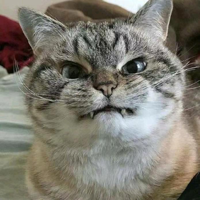 水上划线