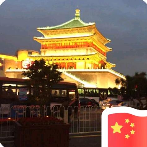 南珊瑚