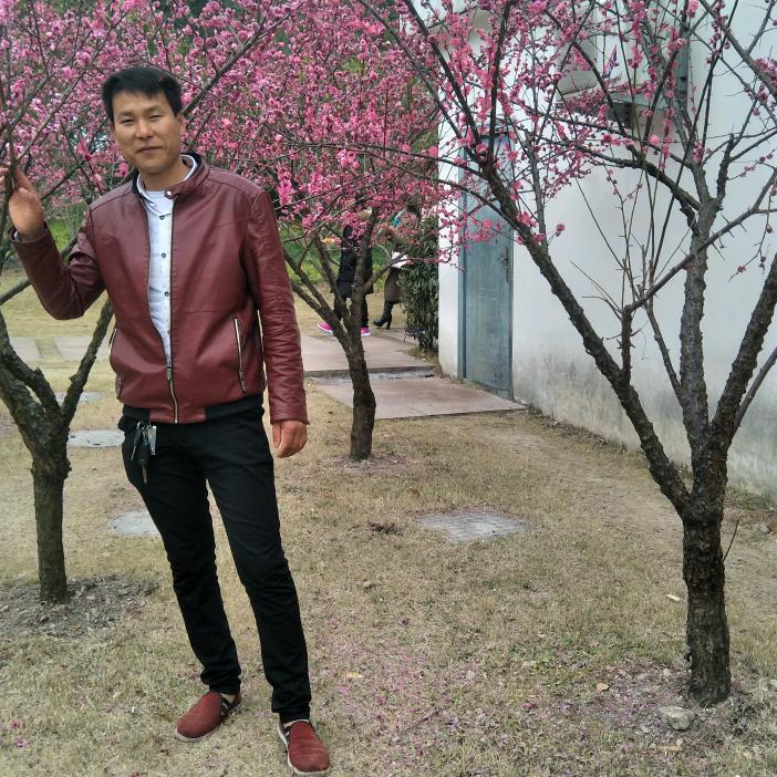 不要迷恋哥