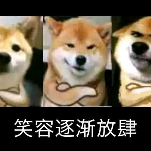 小七七七七