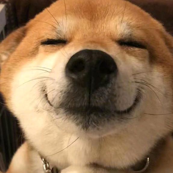 记录日常生活