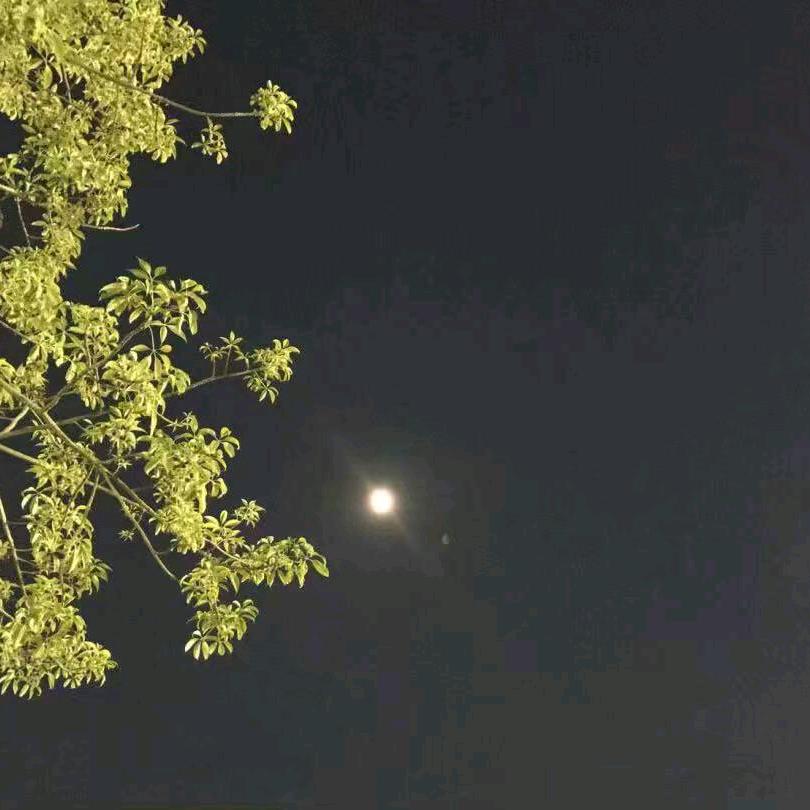一见发财