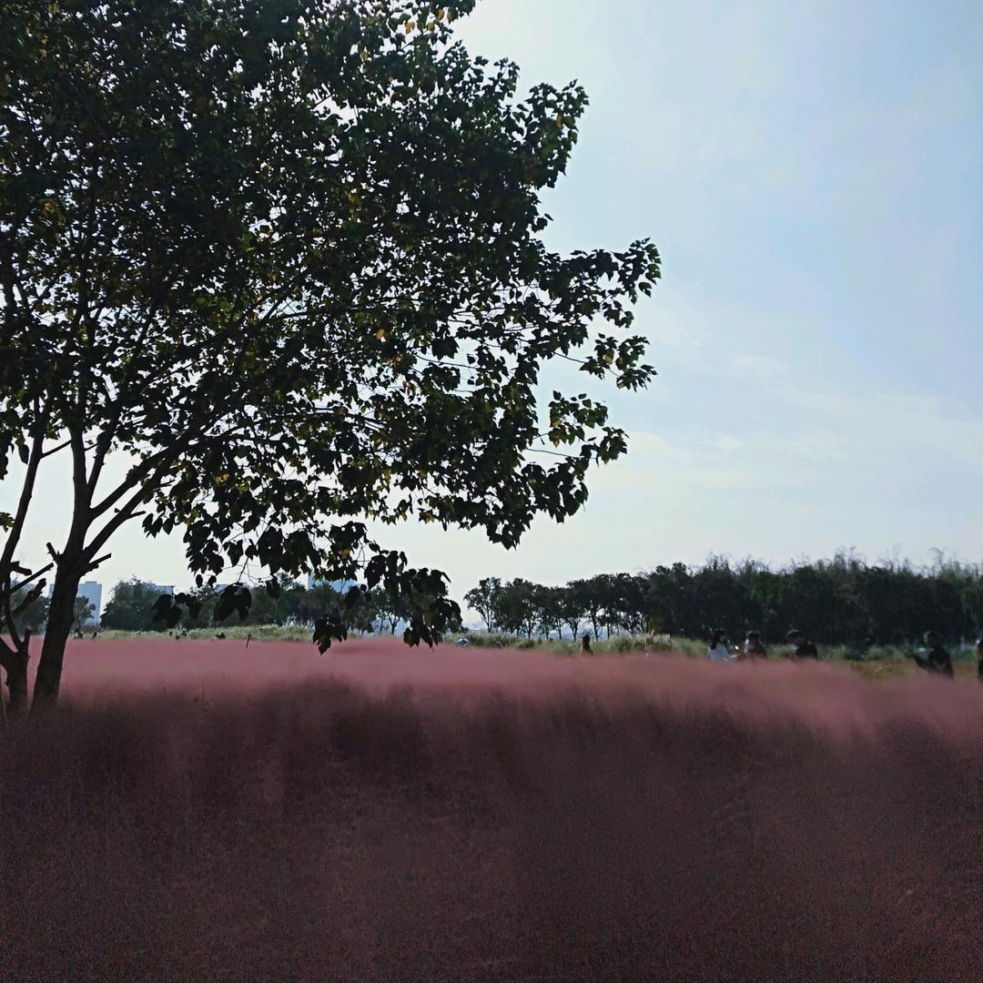逆顺