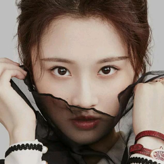 河池市自然捕蜂哥