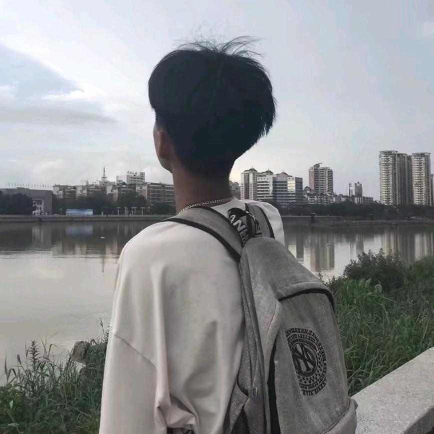 柯基小短腿