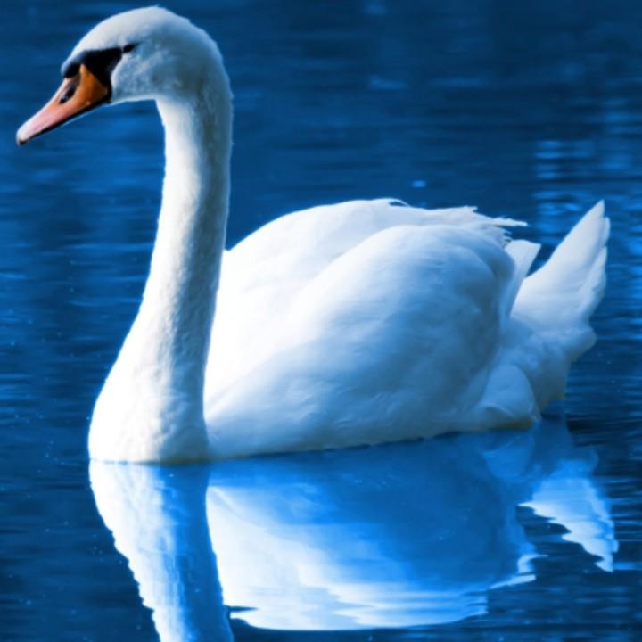 ໑ຼₒ₂₃ღ᭄万李挑一 🕊꧔ꦿ᭄💞