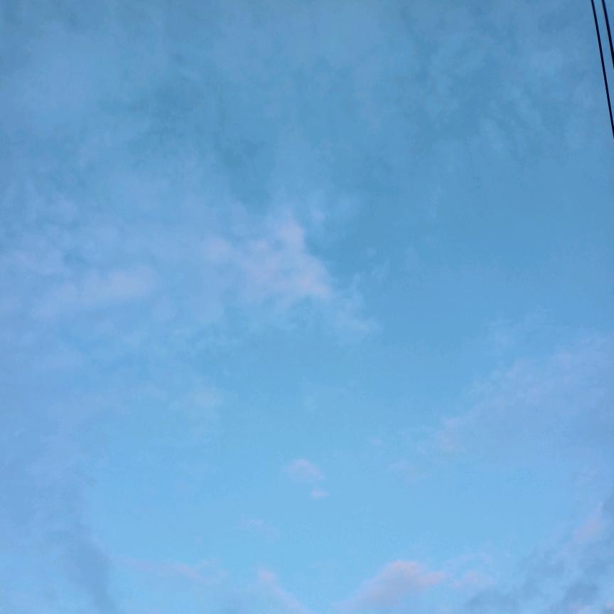顺其自然