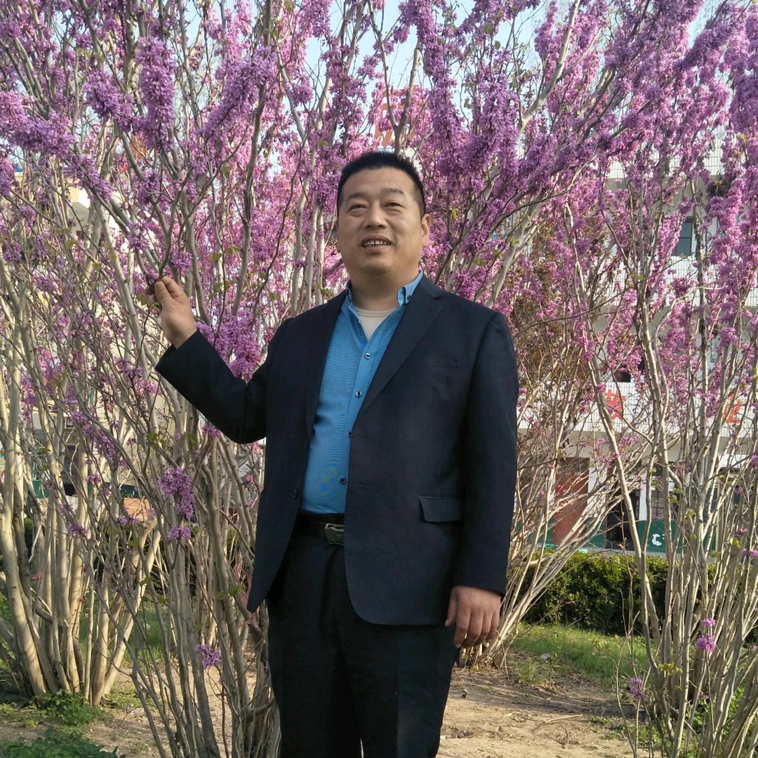 升学规划、志愿填报田老师