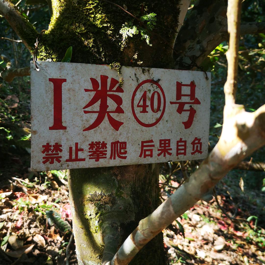 薄荷塘四家