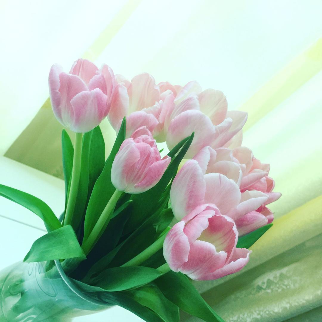 妹钉🫶🏻 Maggie