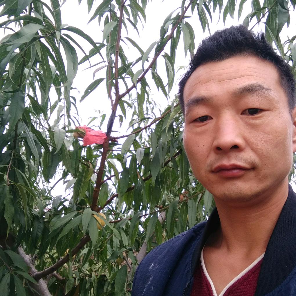 天天鲜生鲜超市