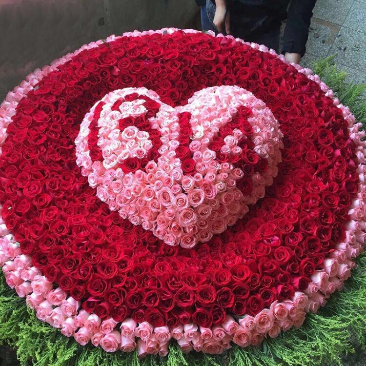 开心果🌺
