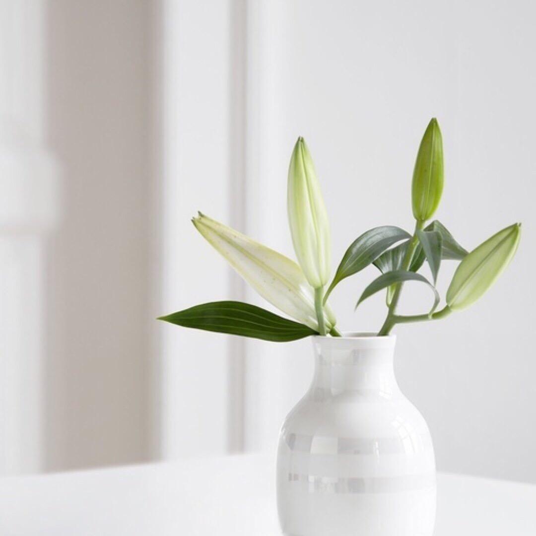 运城市盐湖区东城碧波渔具行（领航𦒉世）