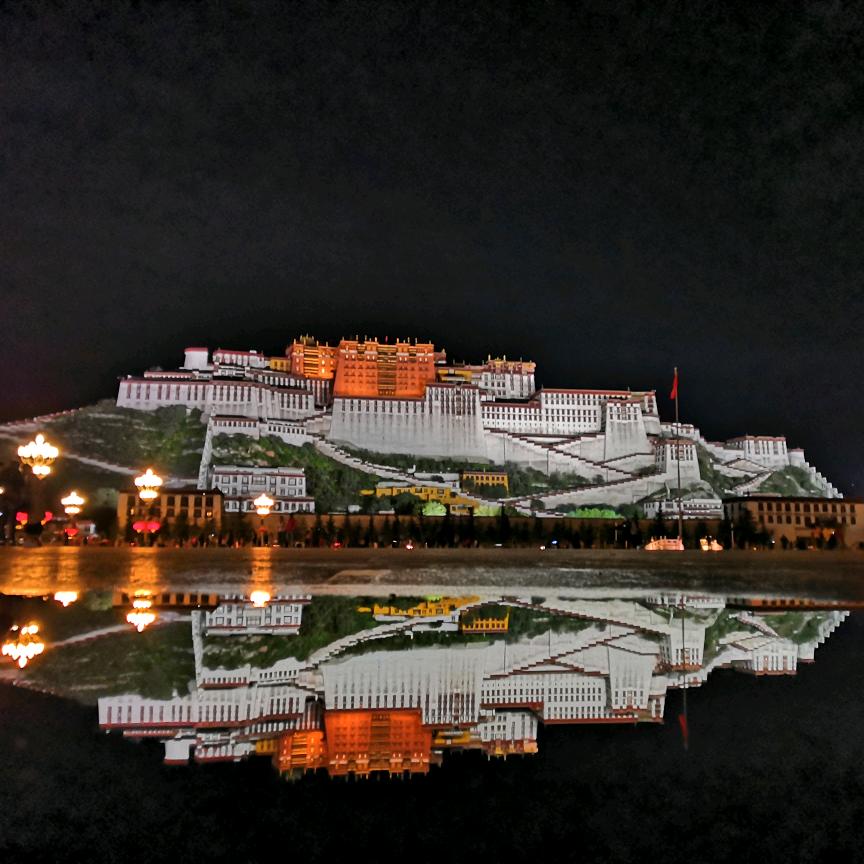 后来的我们
