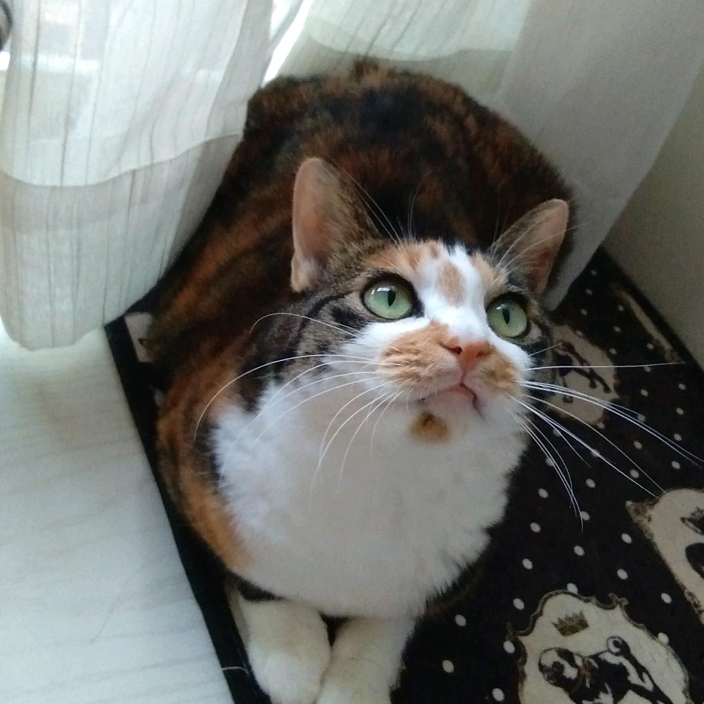 曼生活