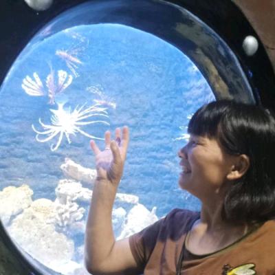 人生就是一场梦