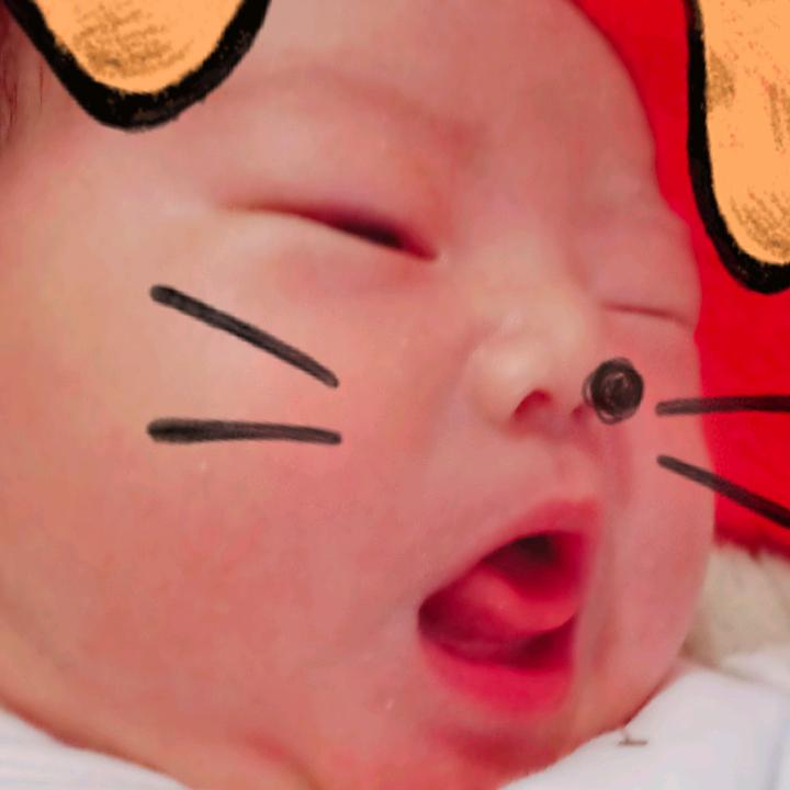 勤劳的小🐝🐝蜜蜂🐝🐝🐝