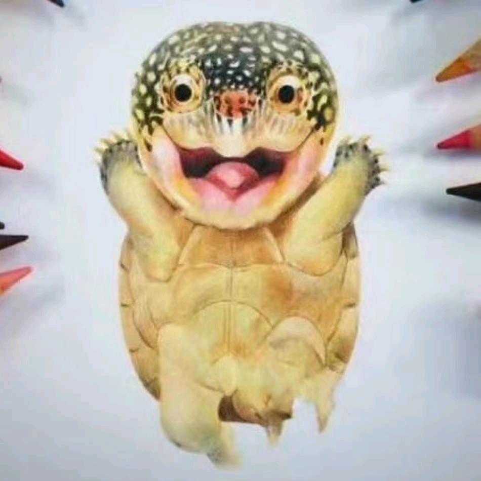 北冥有鱼其为咸