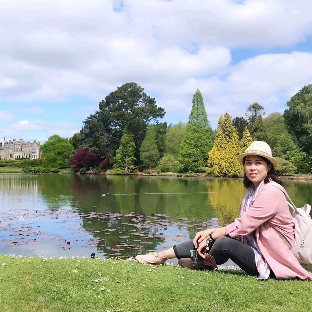 🐝蜜蜂花园🐝