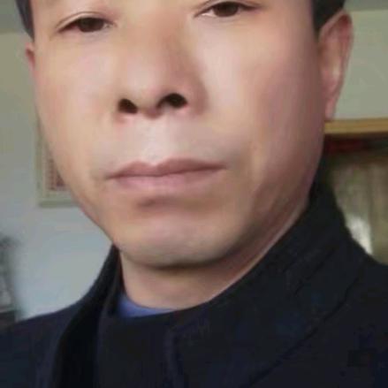 龙飞