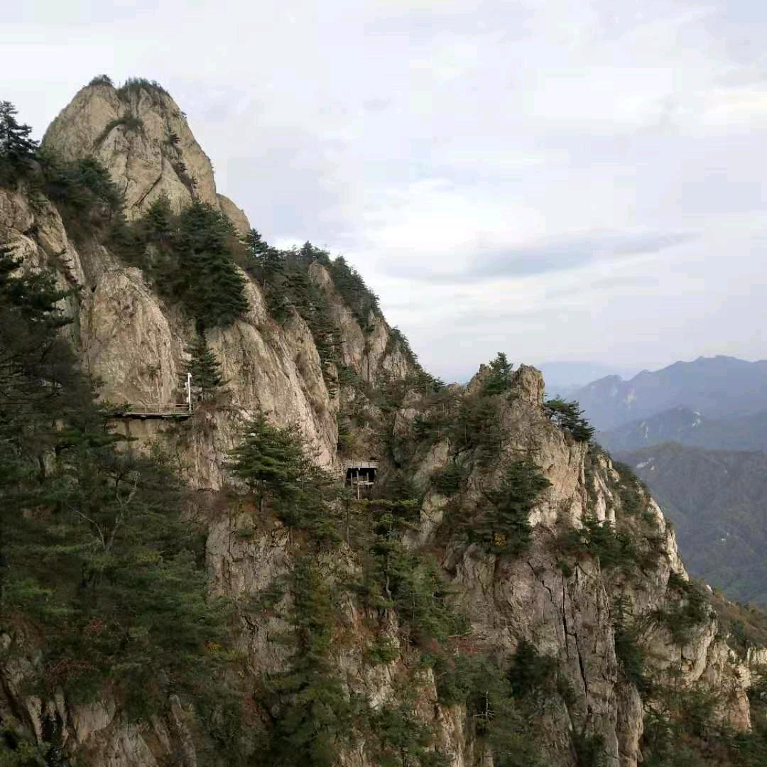 泌阳袜子大全