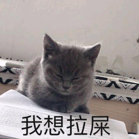 拉💩不出怪地硬