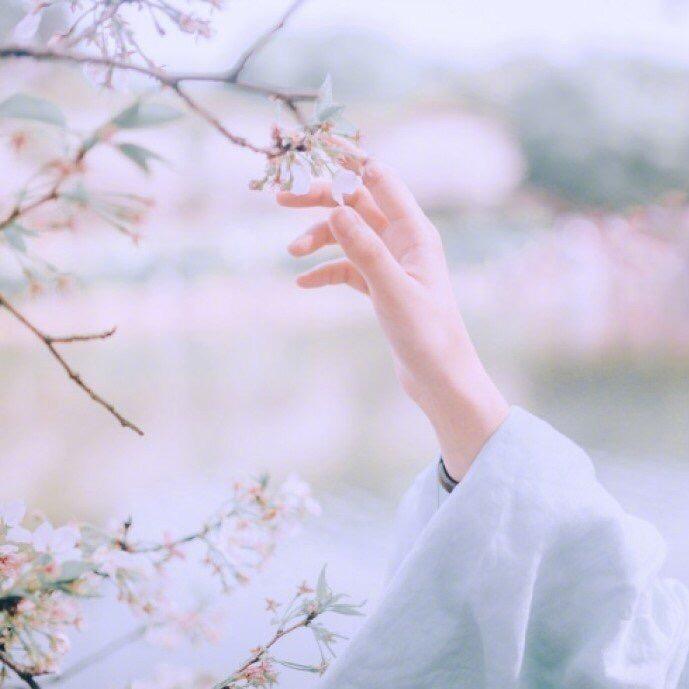 风月·大人🎋