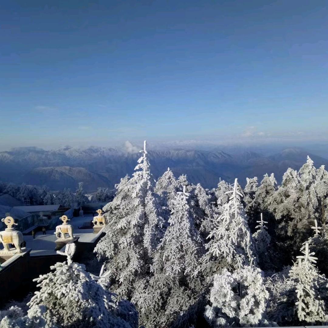 ღ温酒醉人 ོ࿐