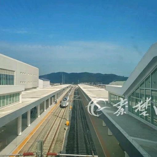 zheng