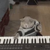 過時不候🎹