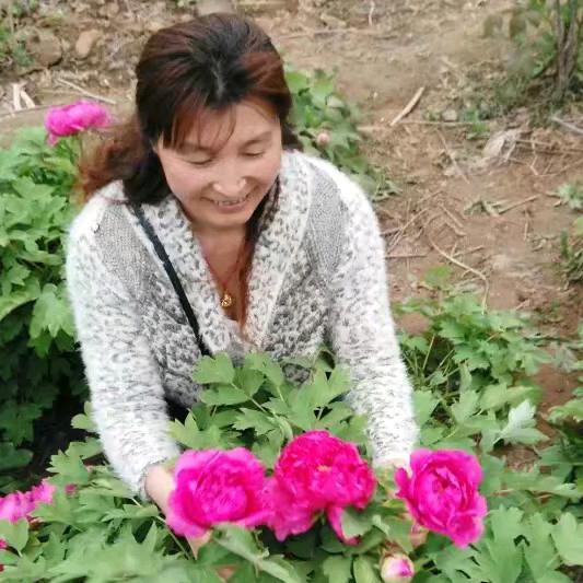 三原电信，红丽[乐翼通讯]