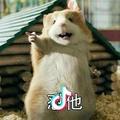 菰貊