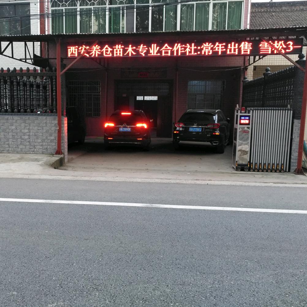 西安养仓苗木专业合作社