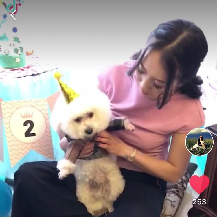 杰斯大黑狗