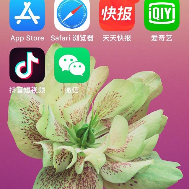 冲浪的小鱼