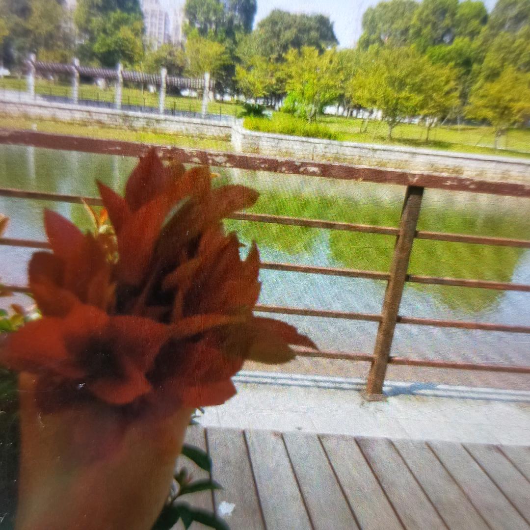 一生的痛无语