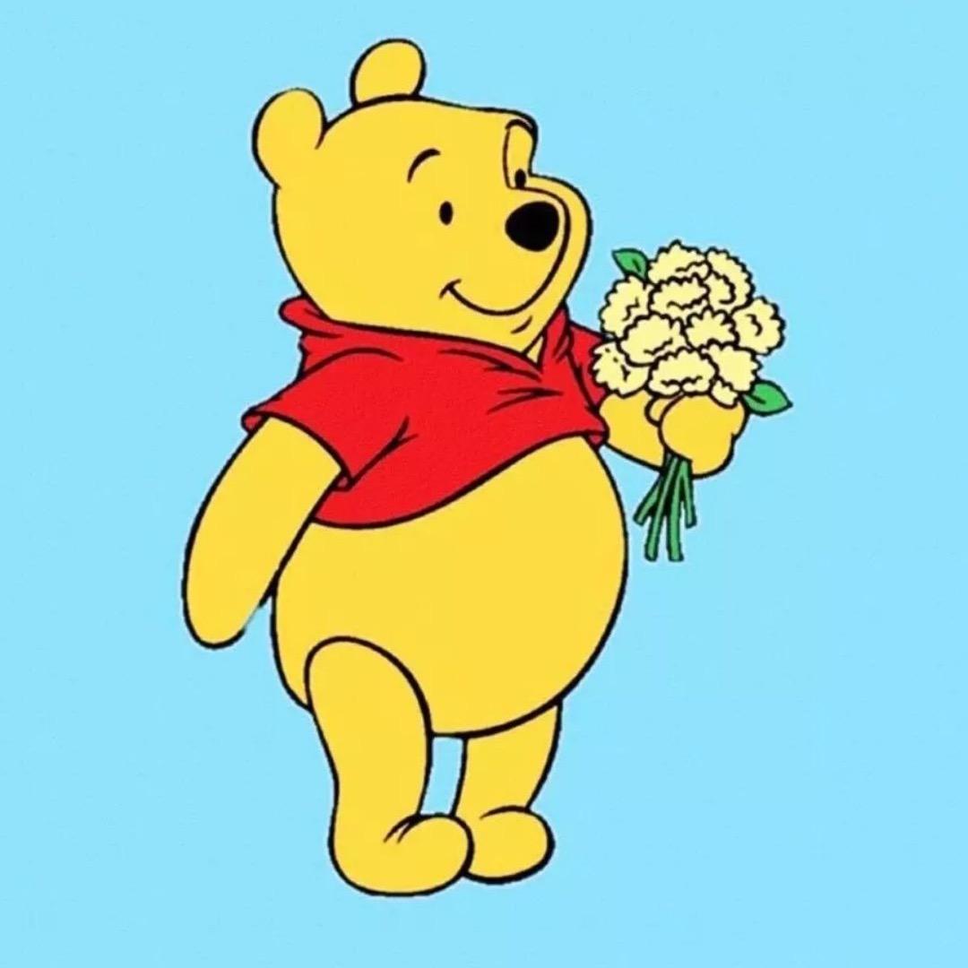 维尼的小🌸🌸