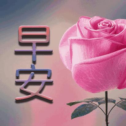 老实人老实