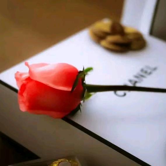 一笑而过(˘⌣˘)❤