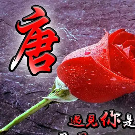 随缘