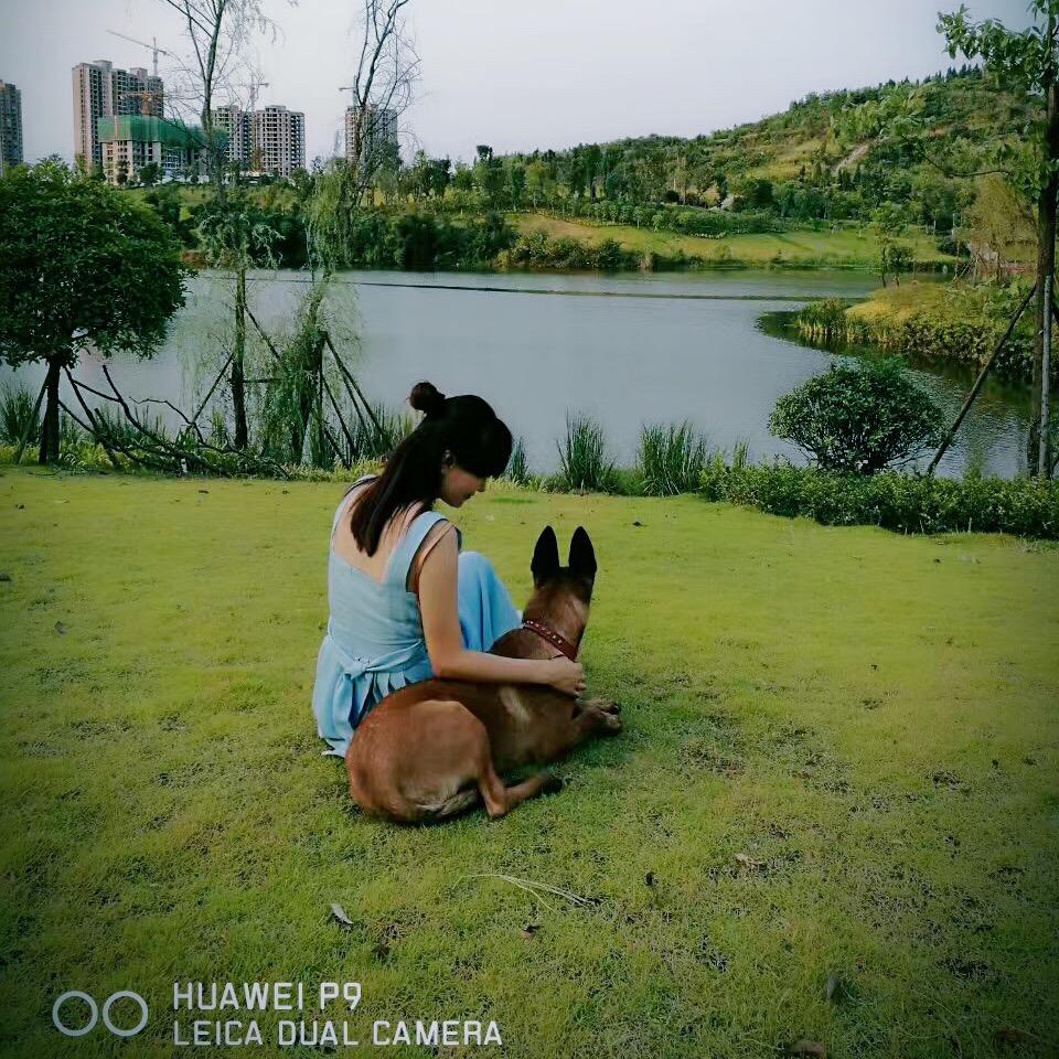 心儿
