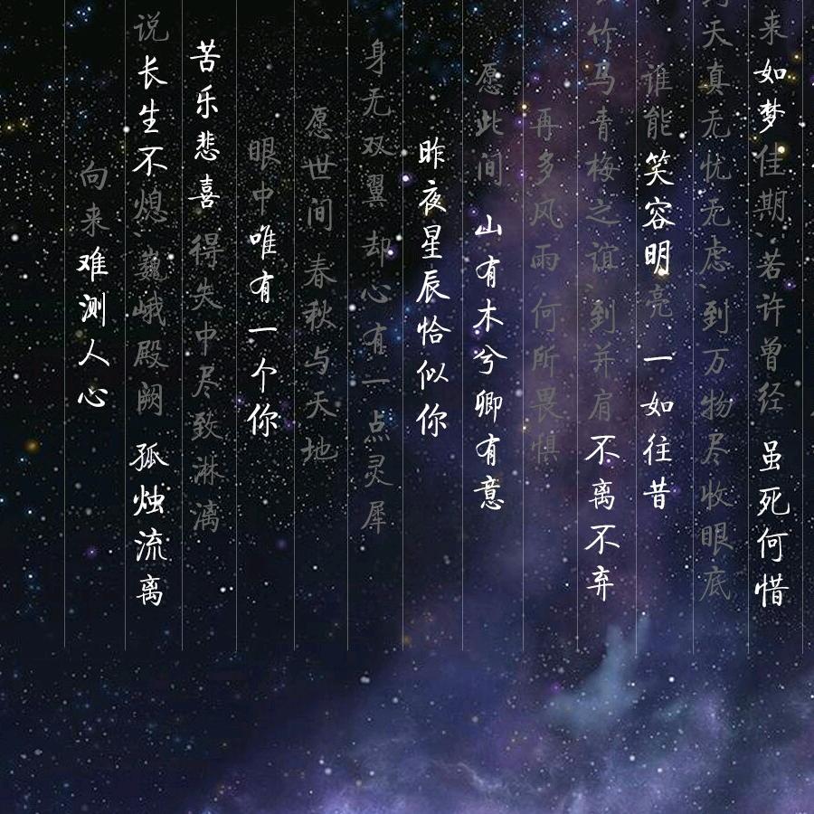 老樊深夜24点