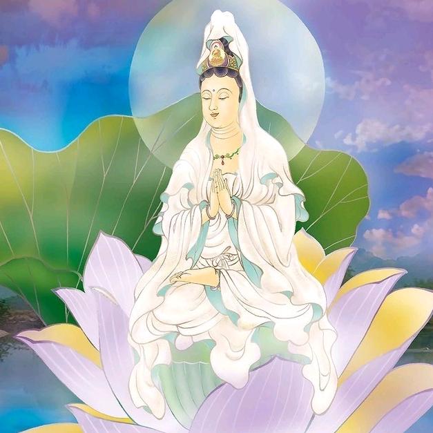 叶子叶子