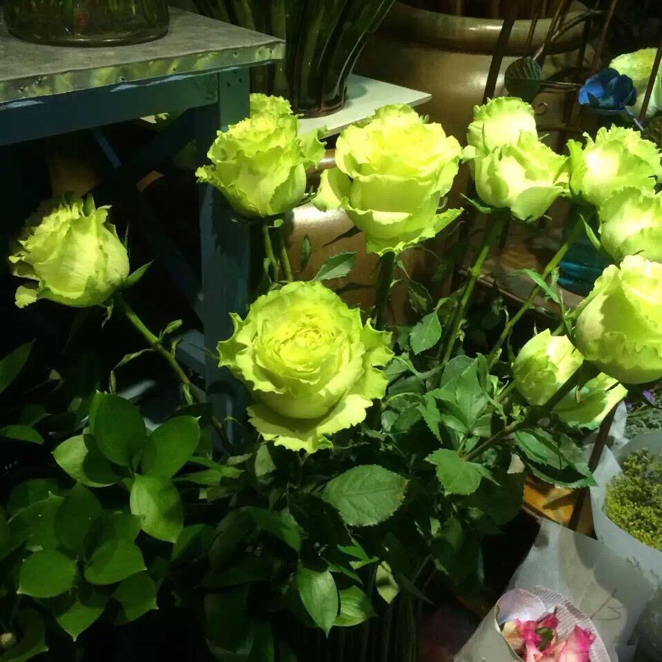 永不放弃。。！