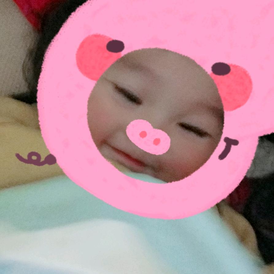 小飞象！