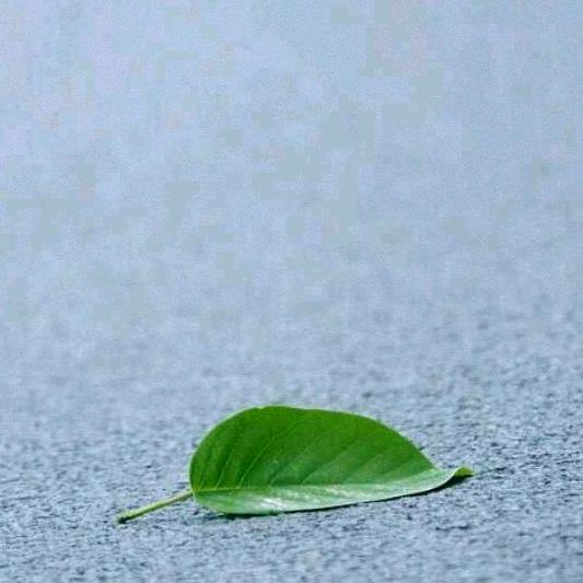 往后余生💦💦