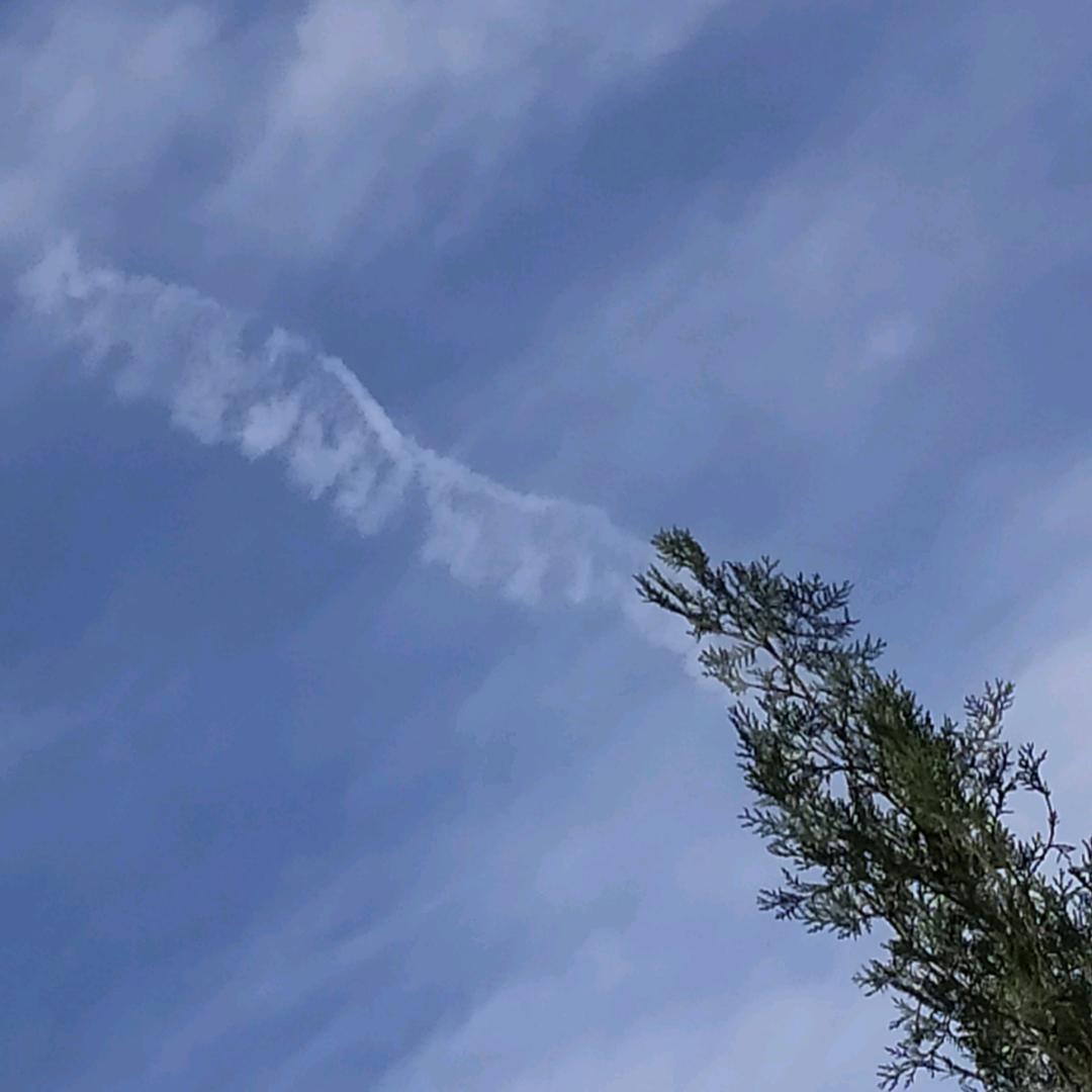 昵称已重置