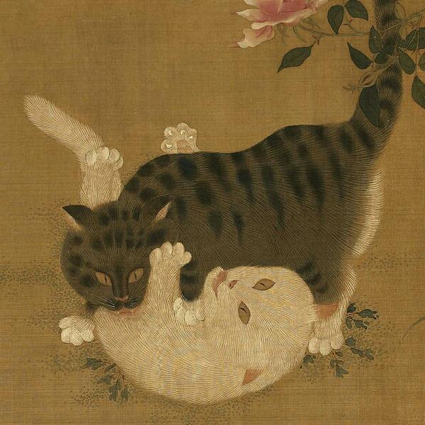 过好每一天