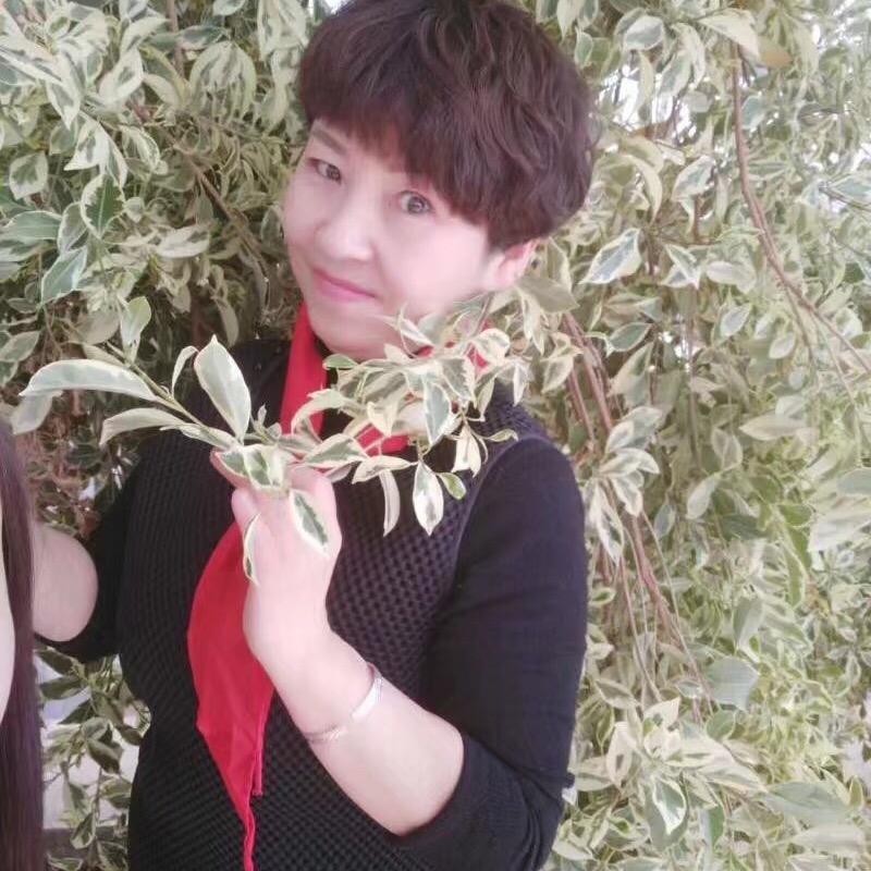 索菲娅