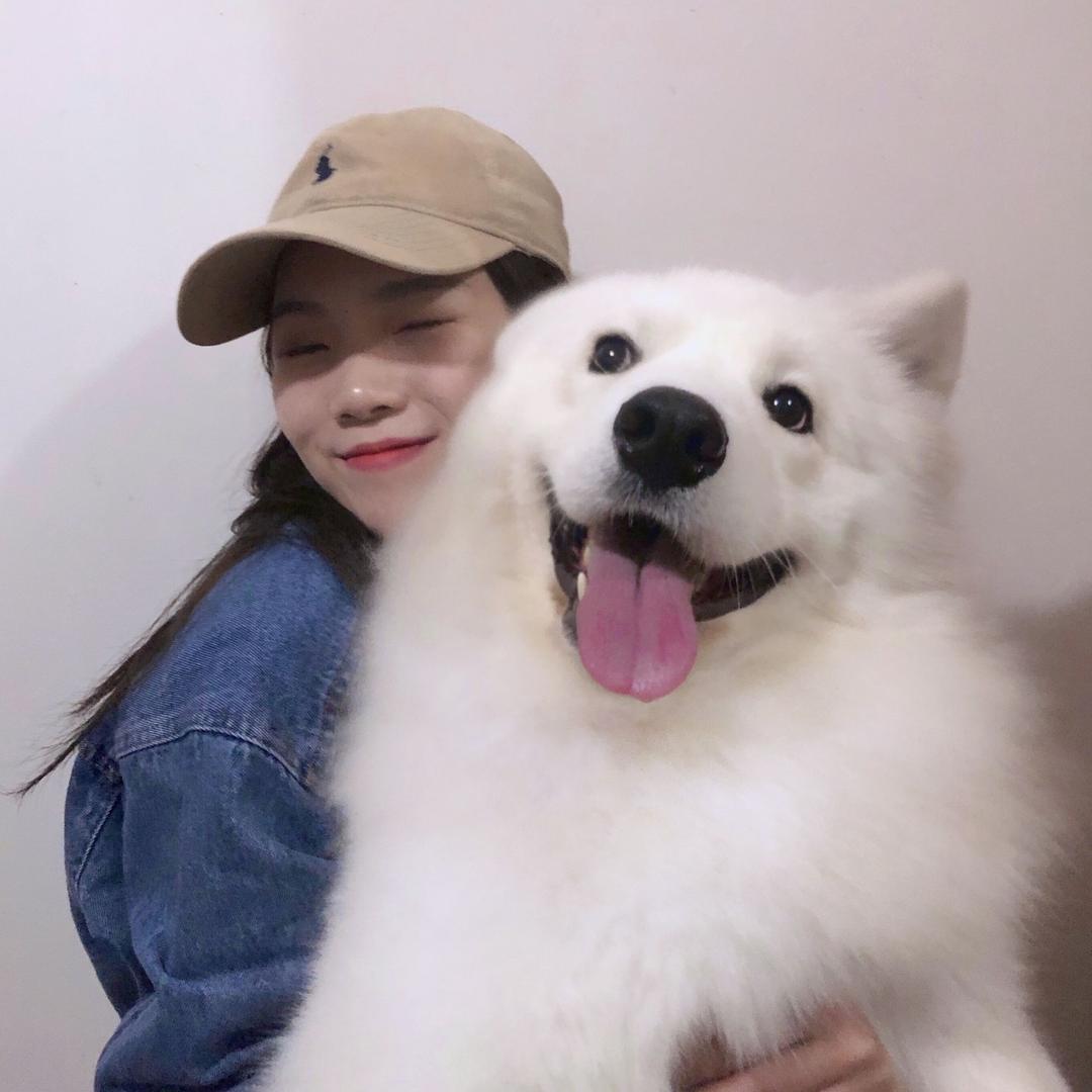 板凳是只萨摩耶🐶